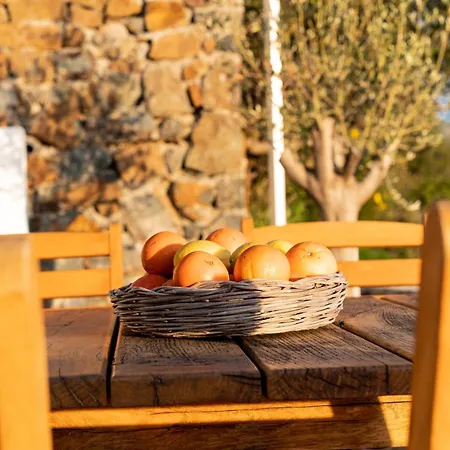 Fuga Panorama 빌라 Bodrum